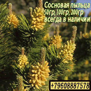 Пыльца сосны, купить онлайн